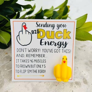Taschenumarmung, Briefkastenumarmung, Ente, Unterstützung, emotionale Unterstützung, Angst, Harz-Ente, gelbe Ente, Geschenk