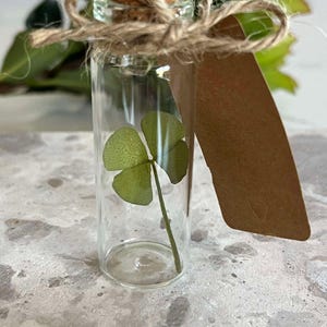 Clover, Good Luck Clover, Keepsake, Good Luck Charm, Gift, Gift For Her, Good Vibes, Luck, Luck Of The Irish, Positive Vibes, Spiritual