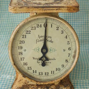 May include: A vintage-style metal kitchen scale with a distressed cream and brown finish. The round dial features the text American Family Scale, Weighs 25 pounds by ounces, and Not Legal for Trade, with a black metal pointer set to zero.
