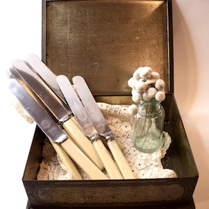 May include: An antique metal box with a hinged lid, containing several butter knives with cream-colored handles and silver blades. A small glass jar with white decorative flowers sits on a lace doily inside the box.