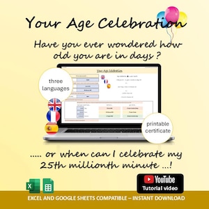 Age Milestone Birthday and Anniversary Planner :  Excel & Google Sheets (Digital Download)