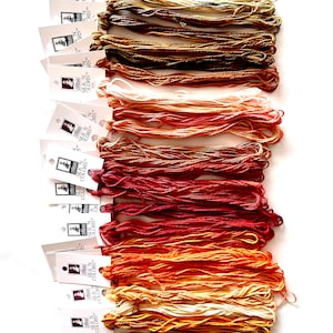 May include: A collection of 14 skeins of embroidery floss in shades of brown, orange, red, and pink. The floss is arranged in a vertical line, with the darkest shades at the bottom and the lightest shades at the top. Each skein is labelled with the text "SILK 'N COLORS".