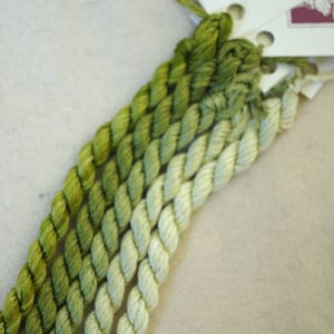 May include: Five skeins of embroidery floss in shades of green, ranging from a deep forest green to a pale, almost white green. The floss is arranged in a gradient, with the darkest green at the top and the lightest green at the bottom. The floss is labeled "Silk Colors".