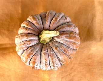 Pumpkin Bisque 32-count Cross Stitch Linen (12.5" x 19")