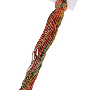 Pode incluir: Um feixe de linha de bordar de seda multicolorida com uma etiqueta branca. A linha apresenta tons de vermelho, laranja, verde e rosa. A etiqueta diz "Thread Silk 'N Colors" com um logotipo de uma pessoa.