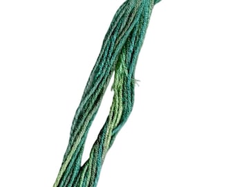 SNC 366 Stolie Meadows Embroidery Floss, Hand Dyed Thread Gatherer