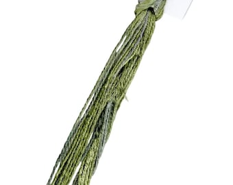 SNC 185 Alpine Grasses Silk Embroidery Floss: Hand-Dyed 12-Ply Thread
