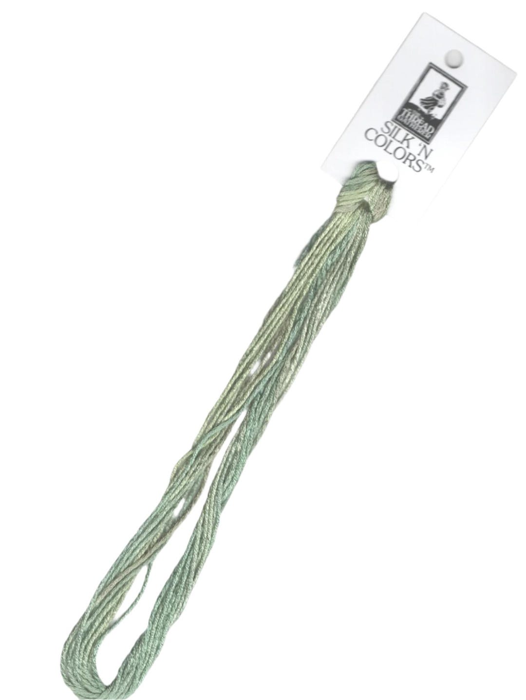 SNC 027 Maidenhair Fern Silk Embroidery Floss, Hand Dyed Variegated ...