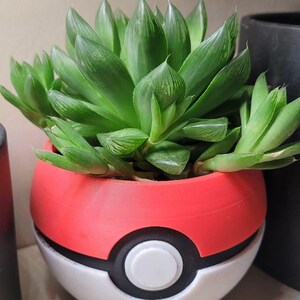 May include: A vibrant green succulent plant in a red, white, and black decorative planter. The planter is designed to resemble a Pokeball, with a red top, white center, and black accents. The plant has thick, pointed leaves.
