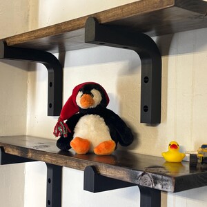 Pair of Unique Plastic Shelving Brackets