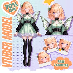 Custom live2d Vtuber Model Ready to Use | Vtuber assets | Pngtuber  | Vtuber Commission | Vtuber Model | Anime Art | Live2d model commission