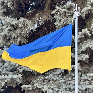 Stainless Steel Flagpole With Lift Mechanism. Modular DIY Flag Holder for Your Yard