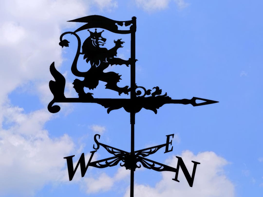 Ornamento Banderuola, Banderuole, Banderuola Con Leone Danzante Banderuola In Acciaio Inossidabile Pratico Indicatore Di Direzione Del Vento Strumento Di Misurazione Scena Di Fattoria Artigianato Da G