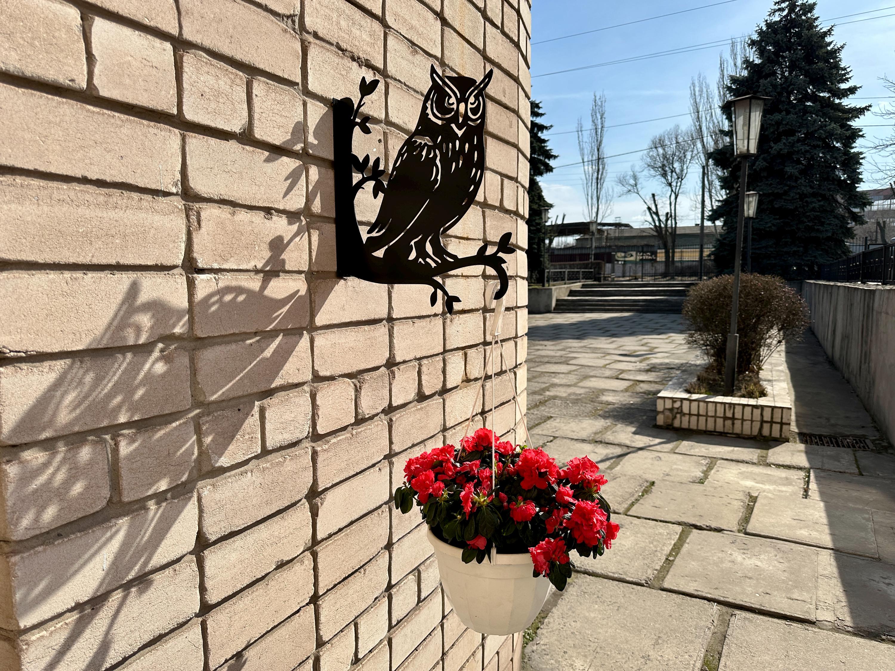 10 Vasi Da Fiori In Metallo Da Appendere, 10 Cm, Zincati E Verniciati, Con Fori Di Drenaggio, Per Balcone E Giardino - 6