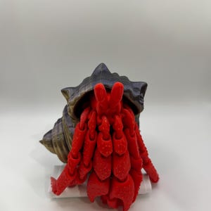 Hermit crab 3-D printed