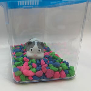 hamster articulé