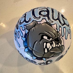 Hand painted sports ball-football, basketball, soccer, baseball, softball, volleyball-You Customize the Design-Painted Sports Ball