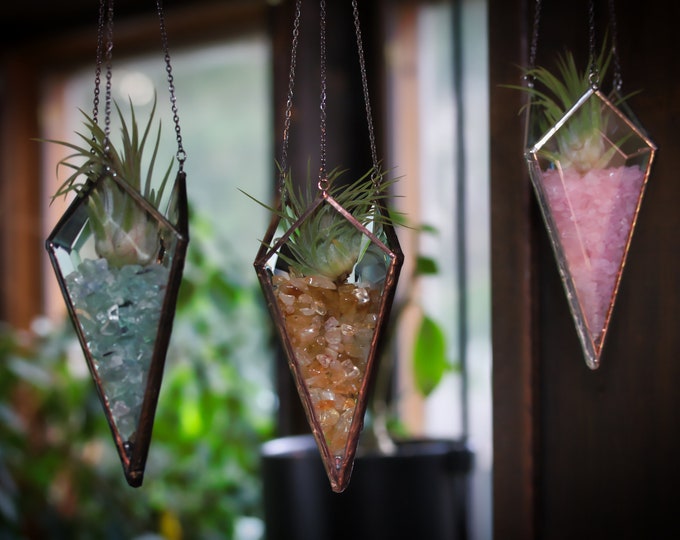 Featured listing image: Hanging Air Plant / Crystal / Gemstone Holder Glass Display - with LIVE Air Plant