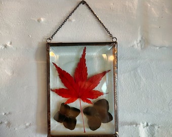 Hanging Glass Flower Display - Maple Leaf - Autumn