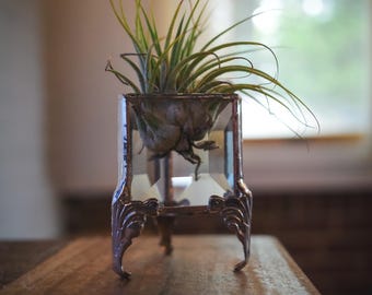 GLASS DISPLAY CASES