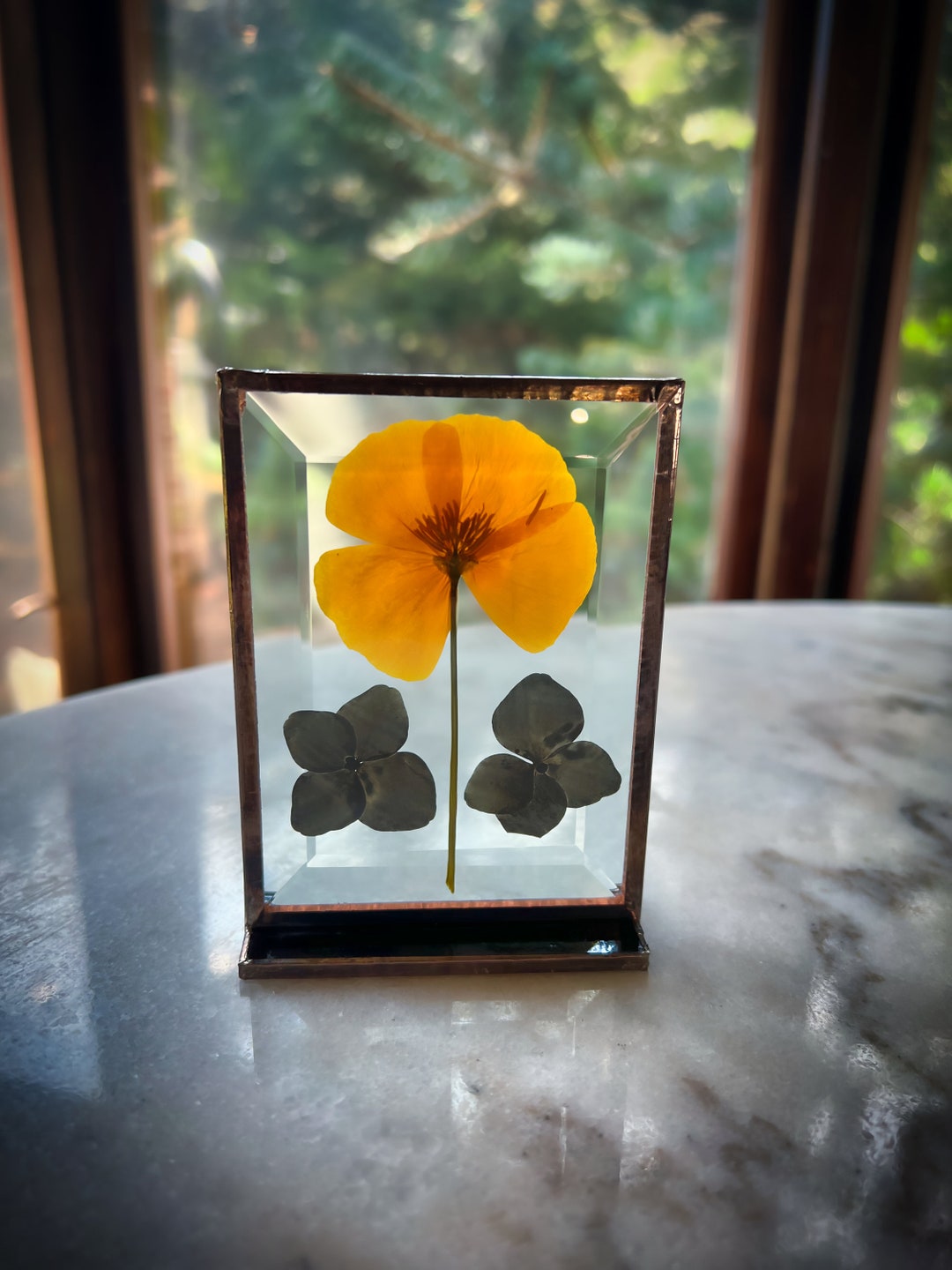 Table Top Glass Flower Display Yellow Poppy Birth Month Etsy