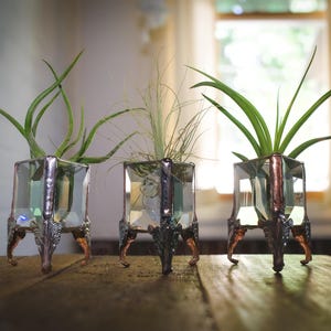 May include: Three decorative glass planters with copper and silver accents, each holding a different type of plant. The planters have a unique, vintage-inspired design with ornate legs and a geometric shape.