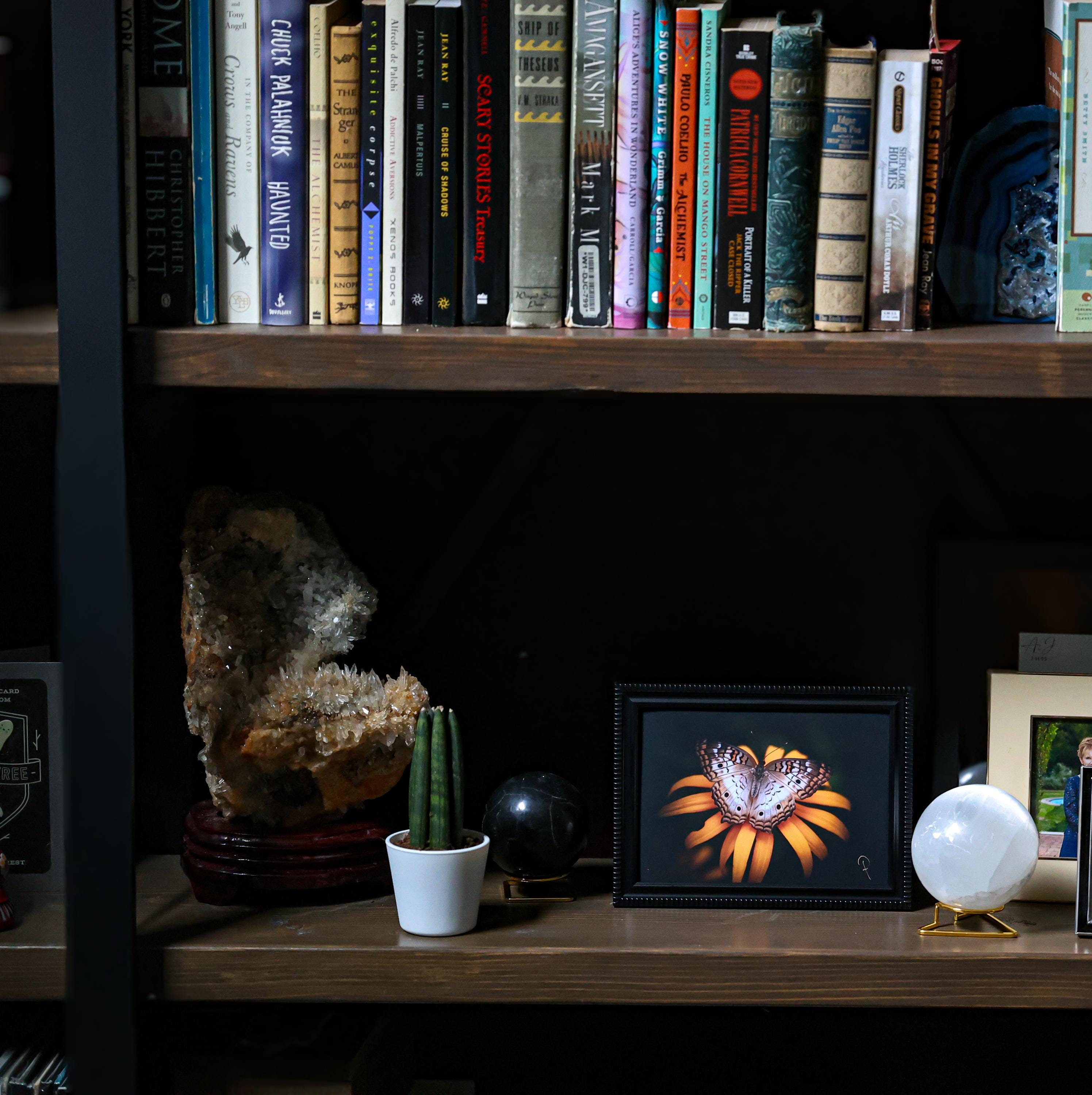 gallery photo