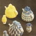 see more listings in the Teacosy section