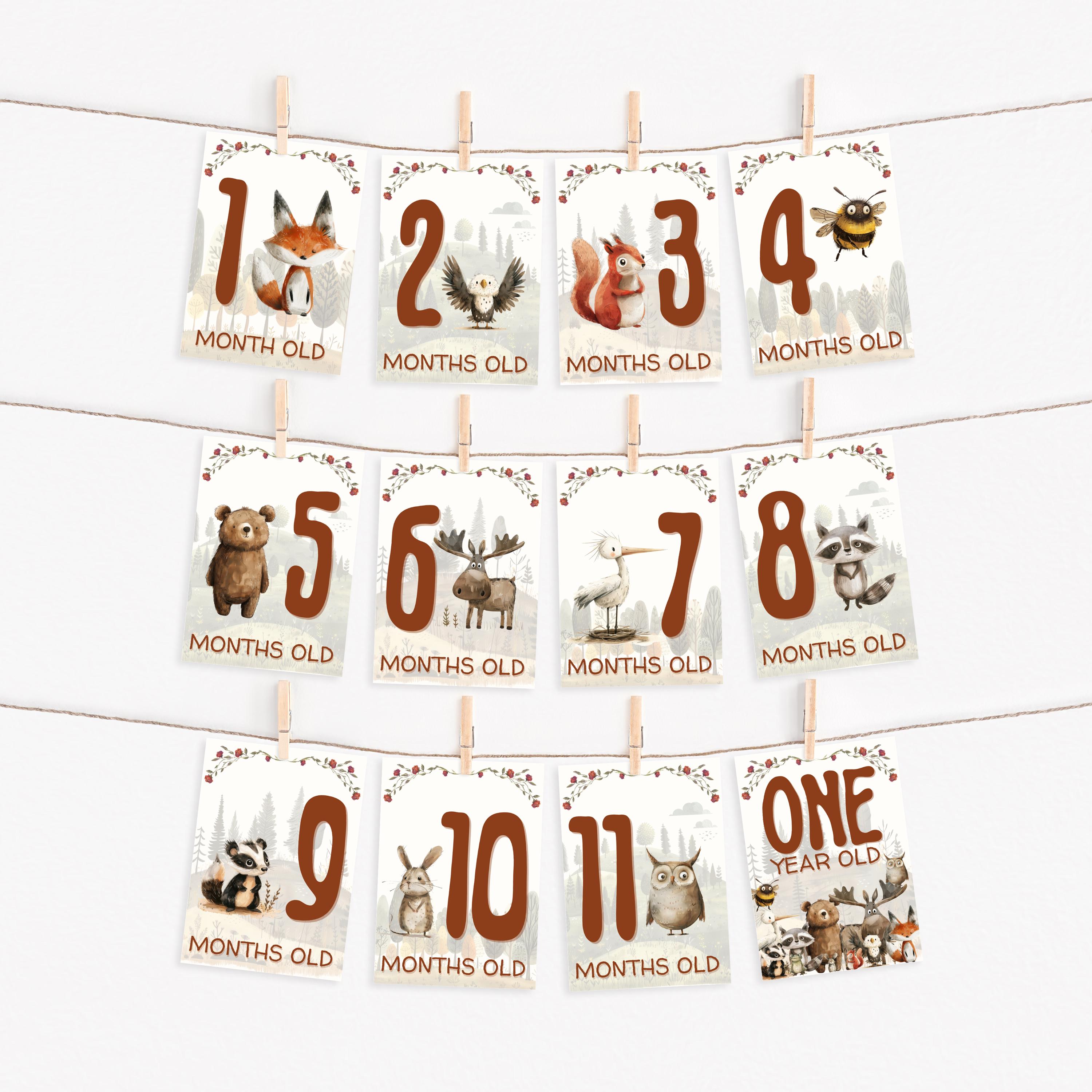 Baby Milestone Cards Printable, Woodland Baby Month Cards Digital ...