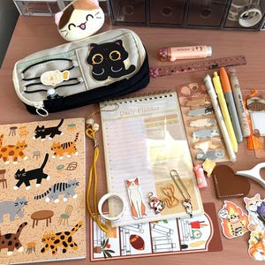 Pacchetto misterioso a tema gatto / Cancelleria, accessori da scrivania comodi e da lettura / Regalo per gli amanti dei gatti