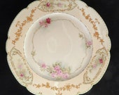 Limoges Plate W G Co. Limoges France Hand Painted Cabinet Plate Vintage Antique 9 1 2 Inch Plate