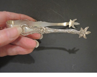 Silver Chicken Claw Sugar Nips,1835 R Wallace A1 Floral Nips, Hibiscus Pattern