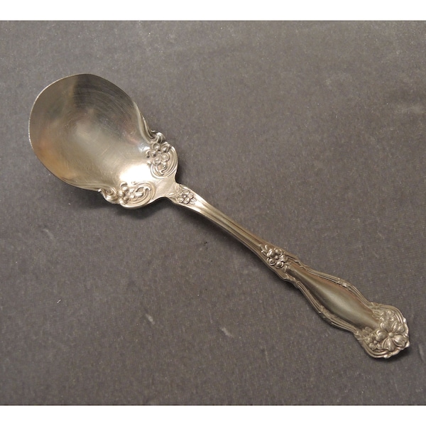 William Rogers & Son Sugar Spoon In The Arbutus Pattern