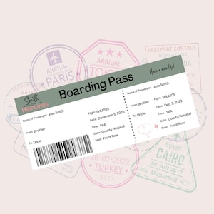 Pregnancy or Adoption Announcement Fully-Customizable Airplane Ticket (Green/Pink 4 tickets)