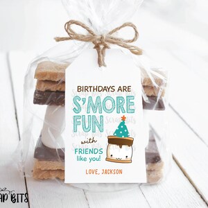 Smore Birthday Favor Tags, Birthdays Are S'more Fun with Friends, Smores Kit Labels for Kids Birthday Party Goodie Bags, DIY Printable