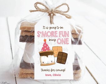 1st Birthday S'more Favor Tags & Bags, It's Going To Be S'more Fun Being One, Smore Birthday Tags, Smore Favors  . Printed + Shipped, Qty 10