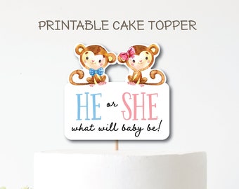PRINTABLE Cake Topper . Watercolor Monkey Gender Reveal Cake Topper . He Or She Cake Topper . Digital Instant Download