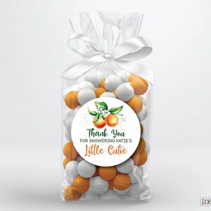 EDITABLE Printable Baby Shower - Il 300x300.4597071323 Rc8o 