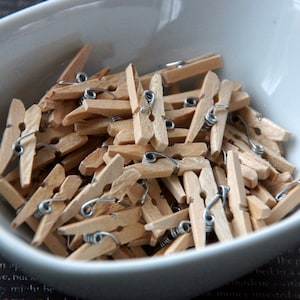 Champagne Gold Clothespins, Embellishments, Mini Clothespins