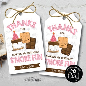 EDITABLE Smores Birthday Tags, Thanks For Making My Birthday Smore Fun, Personalized Printable Smore Birthday Favor Tags, Pink