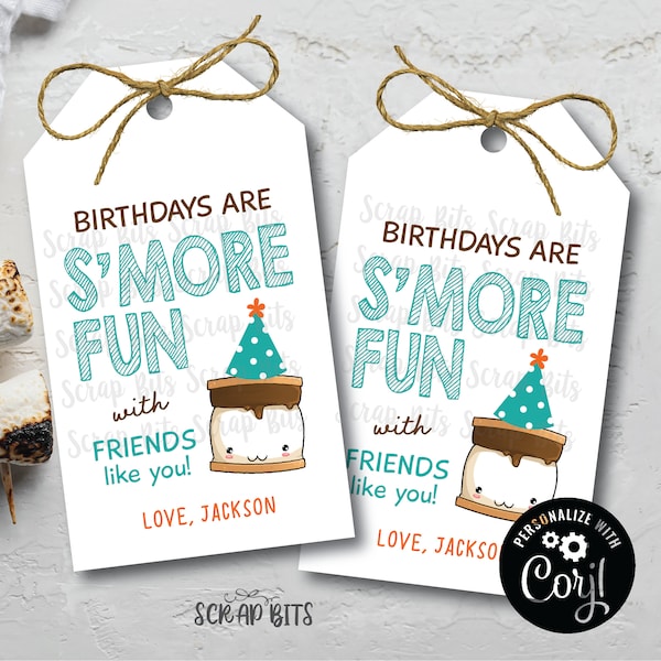 EDITABLE Smore Birthday Tags, Birthdays Are Smore Fun With Friends Like You, Personalized Printable Smore Birthday Favor Tags, Teal & Orange