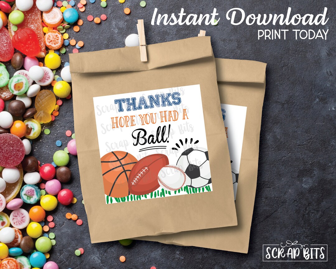 Hope You Had A Ball Favor Tags . Printable Sports Birthday - Etsy
