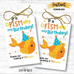 Birthday Goldfish Tags, It Is O Fish Ally My Birthday Tags, Printable Birthday Treat Bag Tags, Classroom Snack Tags, Instant Download