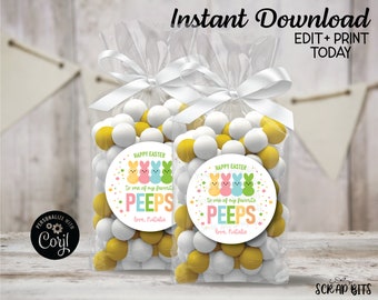 EDITABLE Printable Easter Labels, Happy Easter To One Of My Favorite Peeps Stickers . Personalized Printable Round Sticker Template