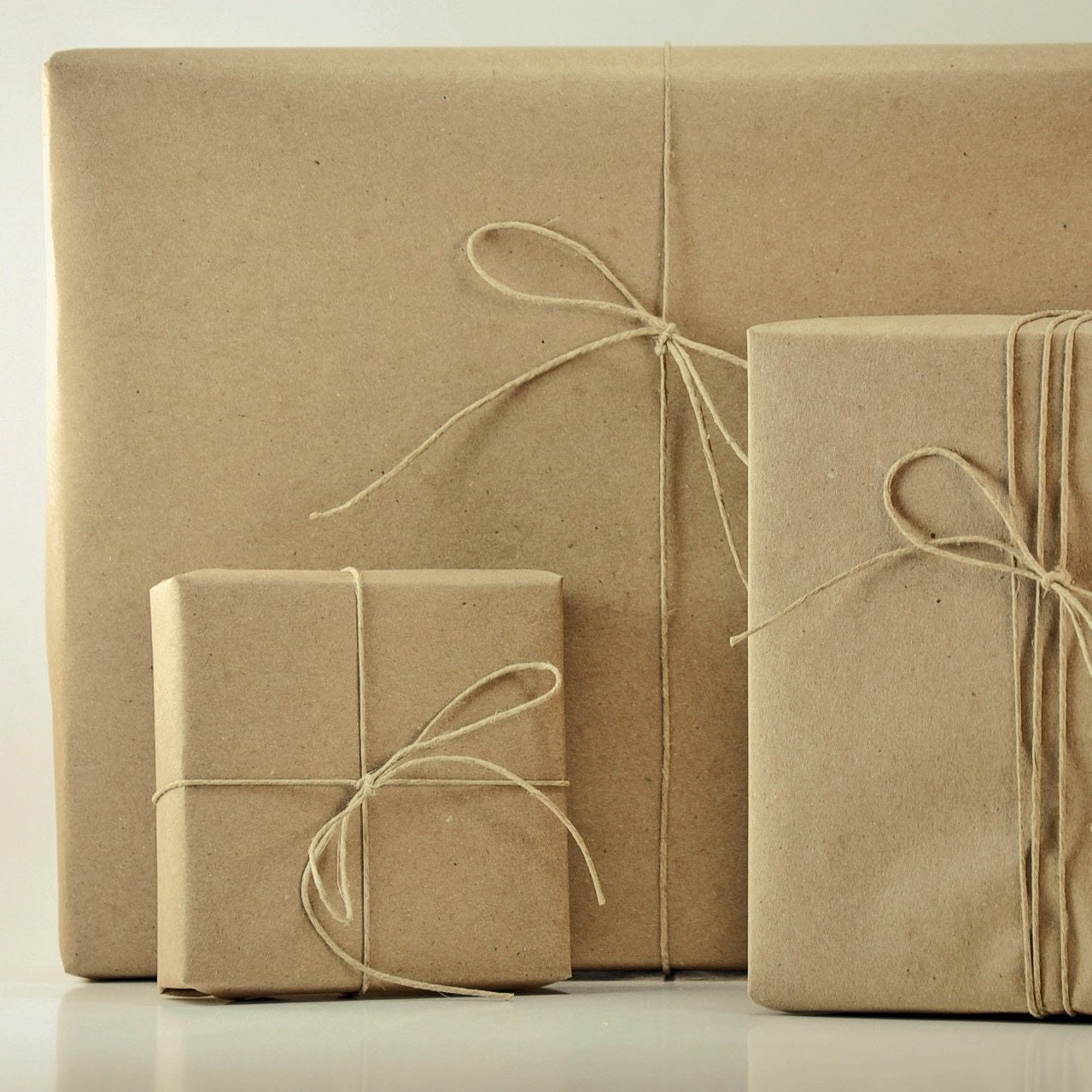 Peanut Gallery - Kraft — Rich Plus Gift Wrapping Paper Wholesale