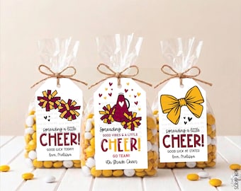 Cheerleading Good Luck Tags, Spreading A Little Cheer, Personalized Game Day Treat Bag Labels, Megaphone & Poms