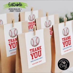 EDITIERBARE Sport-Geburtstags-Tags, Hoffnung, dass Sie einen Ball hatten, Aquarell Baseball druckbare Jungen Sport Party Favor Tags, Leckerli-Beutel-Tags