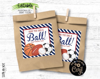 EDITABLE Sports Birthday Tags, Hope You Had A Ball, Navy Blue Stripes, Personalized Printable Birthday Favor Tags, Editable Template