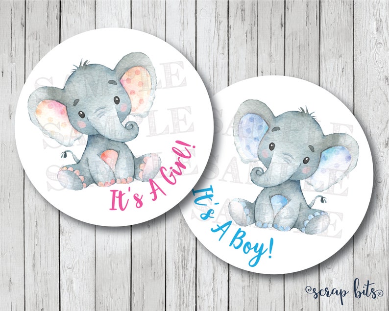 Elephant Gender Reveal Stickers Gender Reveal Tags Etsy