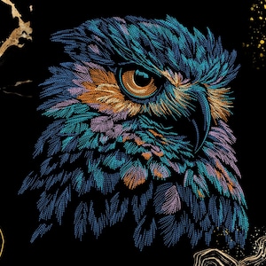 May include: Detailed illustration of an owl's head, featuring intricate feather patterns in shades of blue, teal, purple, and orange against a black background. The owl's eye is a warm amber color. The artwork has a textured, embroidered appearance.